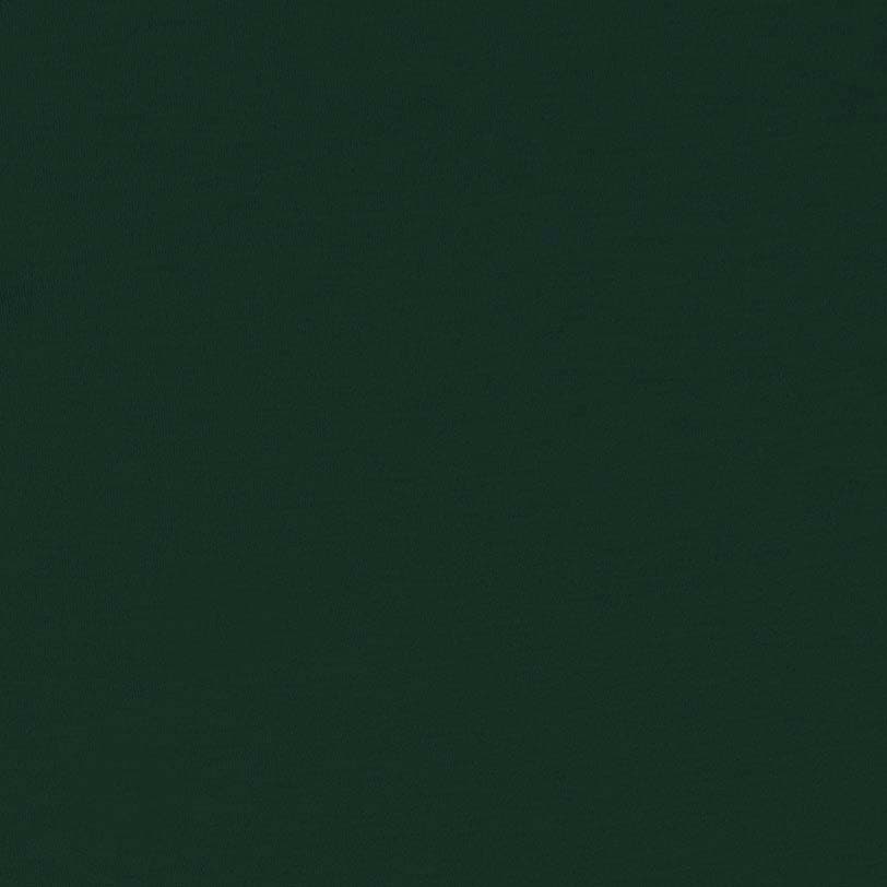 Bild som visar kulören forest green