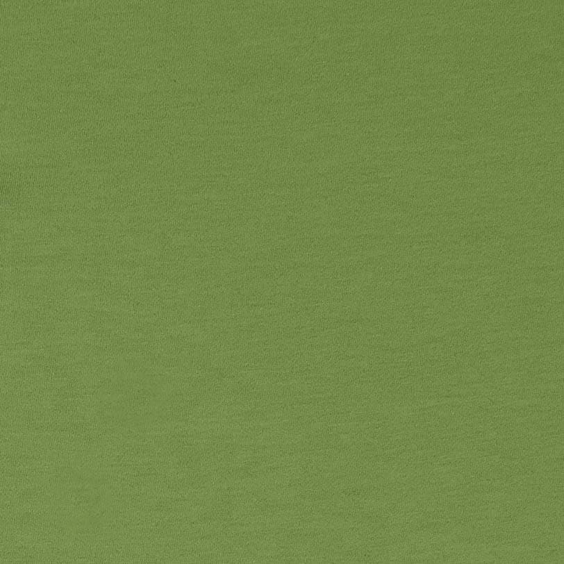 Bild som visar kulören kiwi